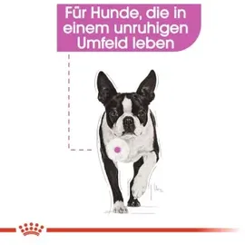 Royal Canin Relax Care 12 x 85g