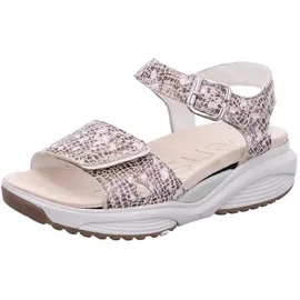 Xsensible Skala Damen Beige 42