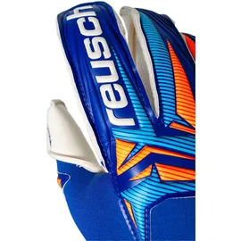 Reusch Attrakt Gold X Evolution Blau 8,5