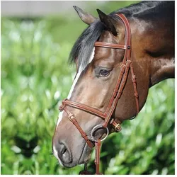 Trensen Reiten Kavalkade Lorenz orange COB