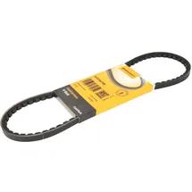 Continental Keilriemen AVX10X788 Keilrippenriemen 788 mm