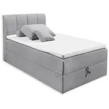 ed exciting design Boxspringbett Grau