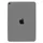 Apple iPad Air (4. Generation 2020) 64 GB Wi-Fi space grau
