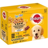 Pedigree Multipack Junior in Gelee 12 x 100 g