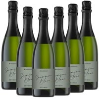 Der Bötzinger - Sauvignon Blanc Sekt trocken - 6er Karton