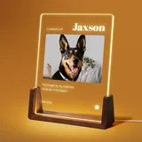 Jodimitty Personalisiert Haustier Gedenktafel aus Acryl, optionales LED-Licht und Holzsockel, mit Foto und Text, Gedenkgeschenke Bilderrahmen Andenken an verstorbenen Hund Katze (Stil F)