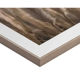 Reinders! Reinders Wandbild 40 x 50 cm Pampas Holz Beige