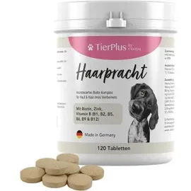 Exvital Haarpracht Tabletten hochdosiertes Biotin Komplex für Hunde 180 g