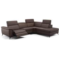 Designer Ledercouch AMARO Ledersofa - Braun