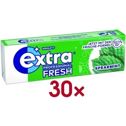 Wrigleys 30er-Pack Kaugummis »PROFESSIONAL SPEARMINT« 14 g grün