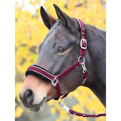 Busse Halfter IDEAL
