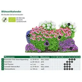 Dehner Bio Stauden-Set 12-teilig, Rosa, Weiß