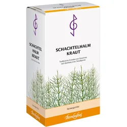 SCHACHTELHALMKRAUT Tee 100 g Tee