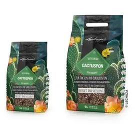 LECHUZA CACTUSPON