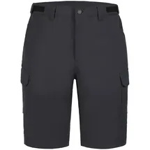 ICEPEAK Braswell Shorts Grau