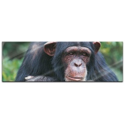 Bilderdepot24 Glasbild, Schimpanse bunt 120 cm x 40 cm