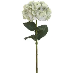 Chic Antique Kunstblume Hortensie mit Blätter, H85 cm, creme