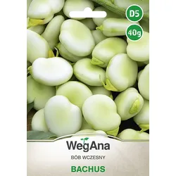 Saubohnen Bachus 40g Saubohnensamen - WegAna