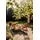 Niehoff Ann 160 x 58 x 85 cm Natur