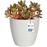 Kadax 17 x 17 x 17 cm Weiß