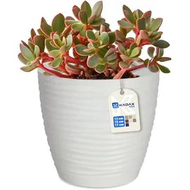 Kadax 17 x 17 x 17 cm Weiß