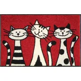 Wash+Dry Three Cats 50 x 75 cm Rot