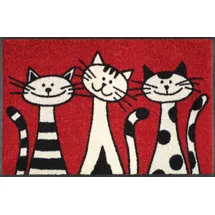 Wash+Dry Three Cats 50 x 75 cm Rot