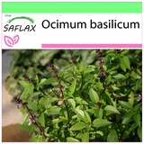 Saflax - Kräuter - Thai - Basilikum - 200 Samen - Ocimum basilicum