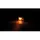 Highsider Smart Picco LED Blinker Schwarz / Scheibe Klar (Paar), Hinten