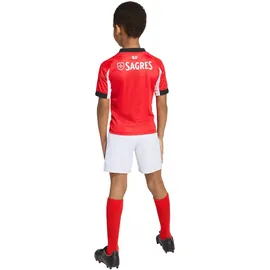 adidas Benfica Lissabon Minikit 2025/26 rot Kinder Gr. 86 cm
