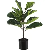 Künstlicher Ficus Lyrata - Luan | 60 cm