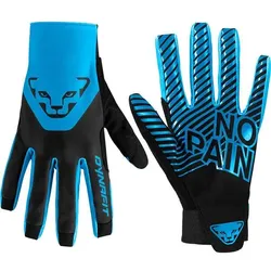 DYNAFIT Herren Handschuhe DNA 2, frost/0910, M