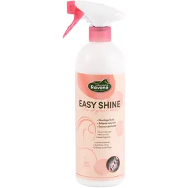 EKKIA Easy Shine Lustrant 750 ml mehrfarbig