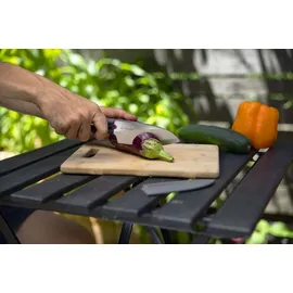 Biolite Grillbesteck 0,75 kg rostfrei silber