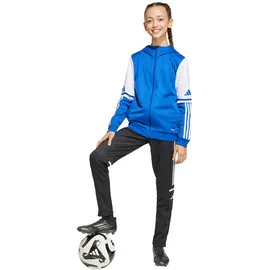 adidas Squadra 25 Team Royal Blue/White 176