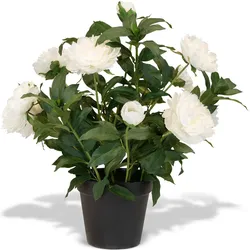 Pfingstrosen - Paeonia Kunstpflanze weiß