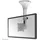 NEWSTAR FPMA-C025 10-26" silber
