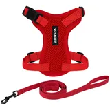 Best Pet Supplies Voyager Step-in Lock Katzengeschirr und reflektierende Katzenleine mit Neoprengriff by Best Pet Supplies - Unterstützt kleine, mittelgroße und große Katzenrassen, Rot, size XS - 1,5 m