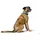 Hunter Malta Halsband Petrol/S schwarz 50