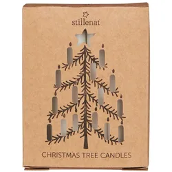 IB Laursen Weihnachtsbaum Kerzen, Schachtel, 12er, Höhe 10, Ø 1.3 cm, creme