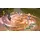 Atelier Rorona: The Alchemist of Arland (PS3)