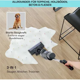 Klarstein Caswell Plus Nass-/Trockensauger kabellos akkubetrieben LED-Display