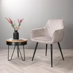 DS4U - Ravi 3.0 Esszimmerstuhl Samt - Grau