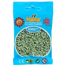 Dan Mini-Bügelperlen Eukalyptus 2000 Stück