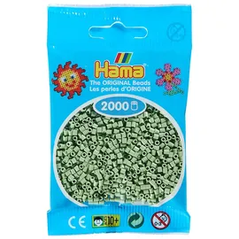 Dan Mini-Bügelperlen Eukalyptus 2000 Stück