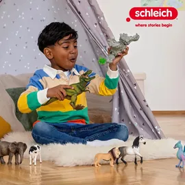Schleich Pferd, Fahrzeug, Spielset