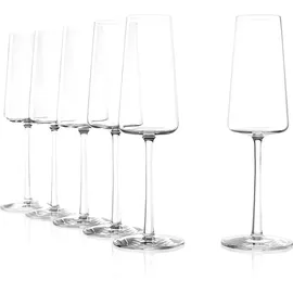 Stölzle Power Champagnerglas 0,24 l 6er Set