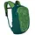 Osprey Daylite Kids leafy green