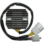 ElectroSport Laderegler ESR 436