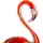 Casablanca by Gilde Figur Flamingo mehrfarbig H. 17 cm | Gr.: onesize